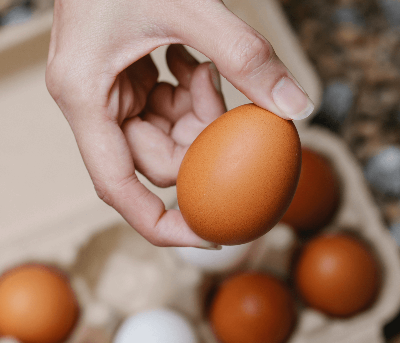 Novedades regulatorias sobre el huevo en España