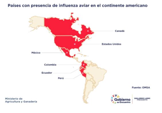 influenza aviar Ecuador MAG