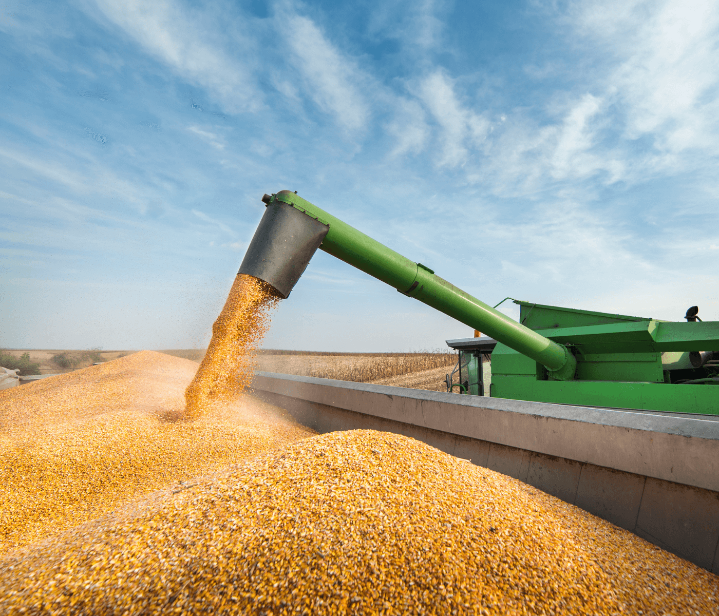 Infraestrutura e suprimento de grãos preocupam a agroindústria de SC