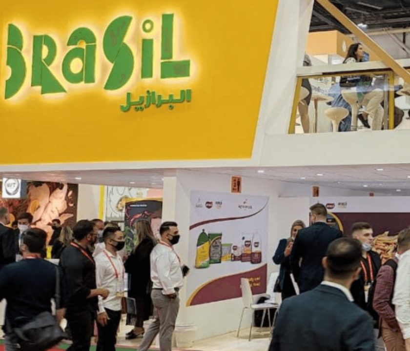 Brasil é líder mundial no mercado de frango halal