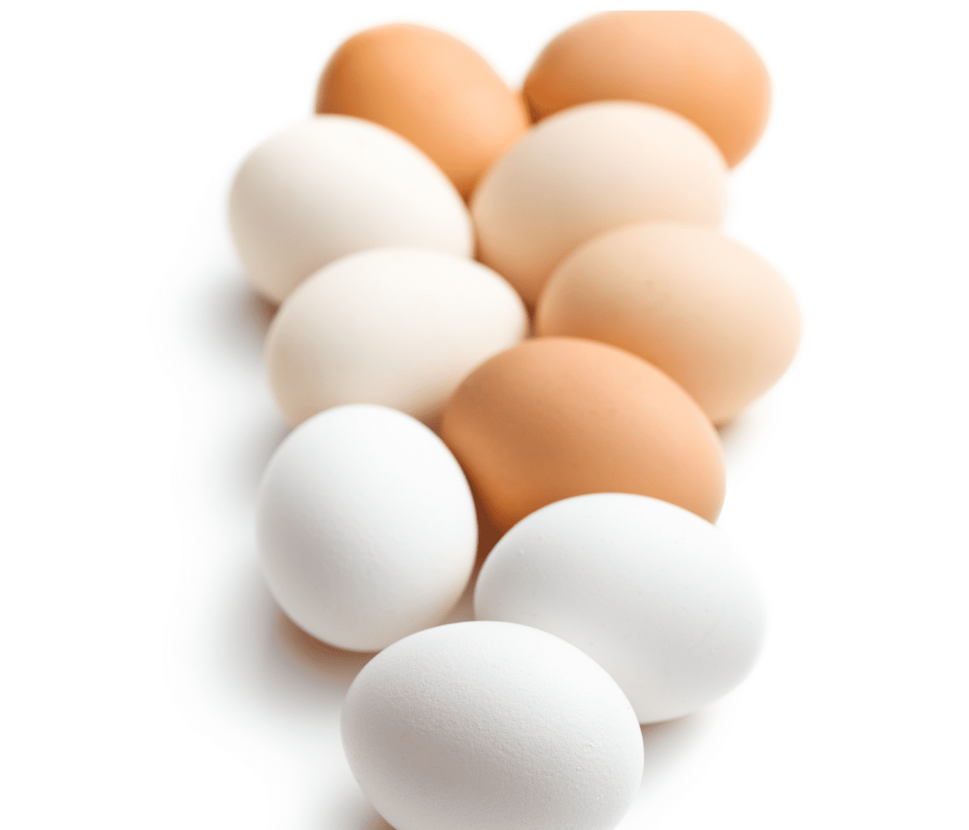 En Chile cae la producción y el consumo de huevos en 2022