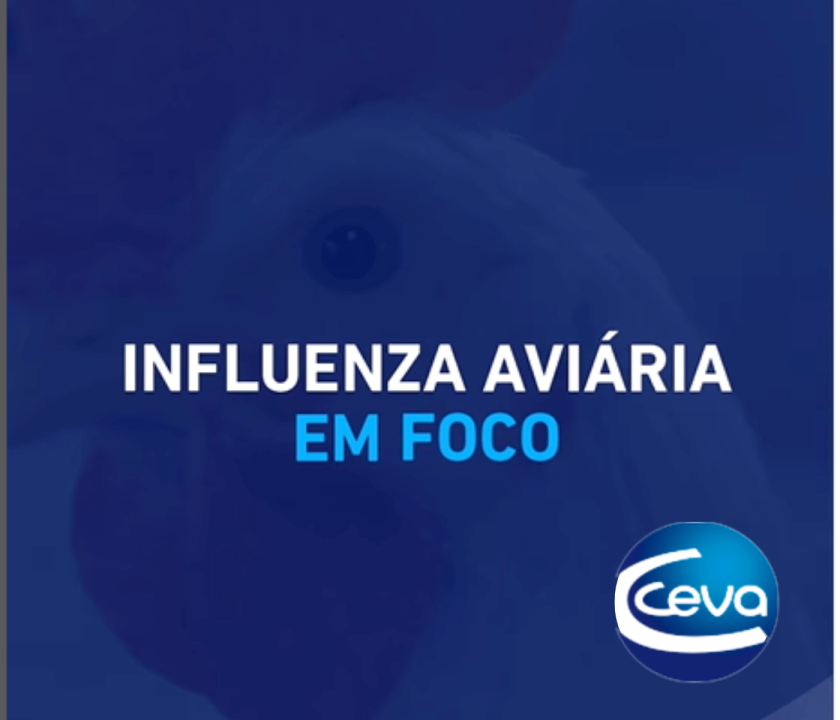 Marcelo Paniago traz considerações sobre influenza aviária