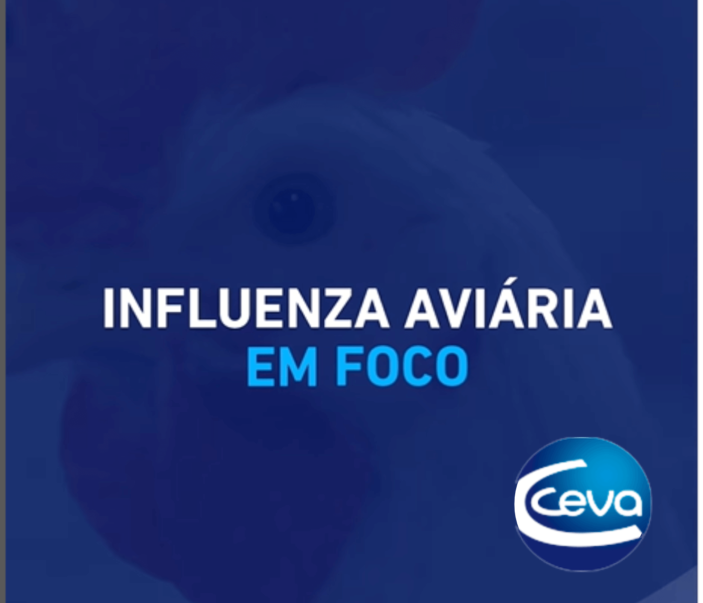 Marcelo Paniago traz importantes considerações sobre os impactos da Influenza...