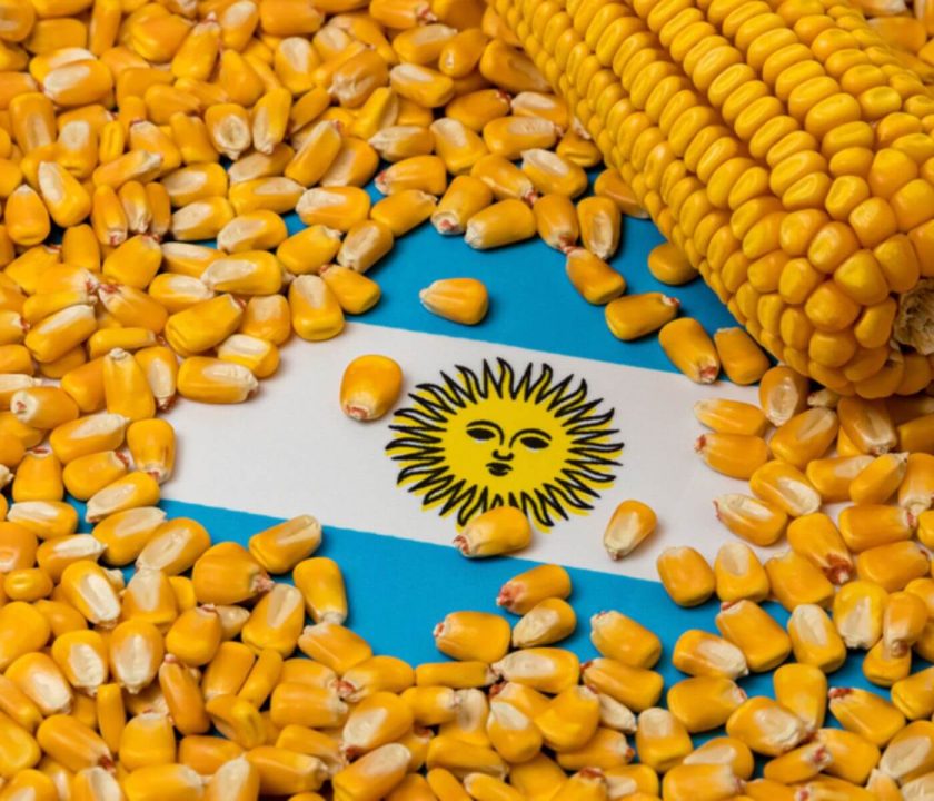 Argentina corn exports