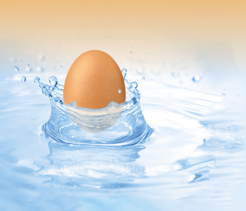 Gravidade específica dos ovos