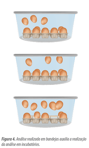 gravidade específica dos ovos