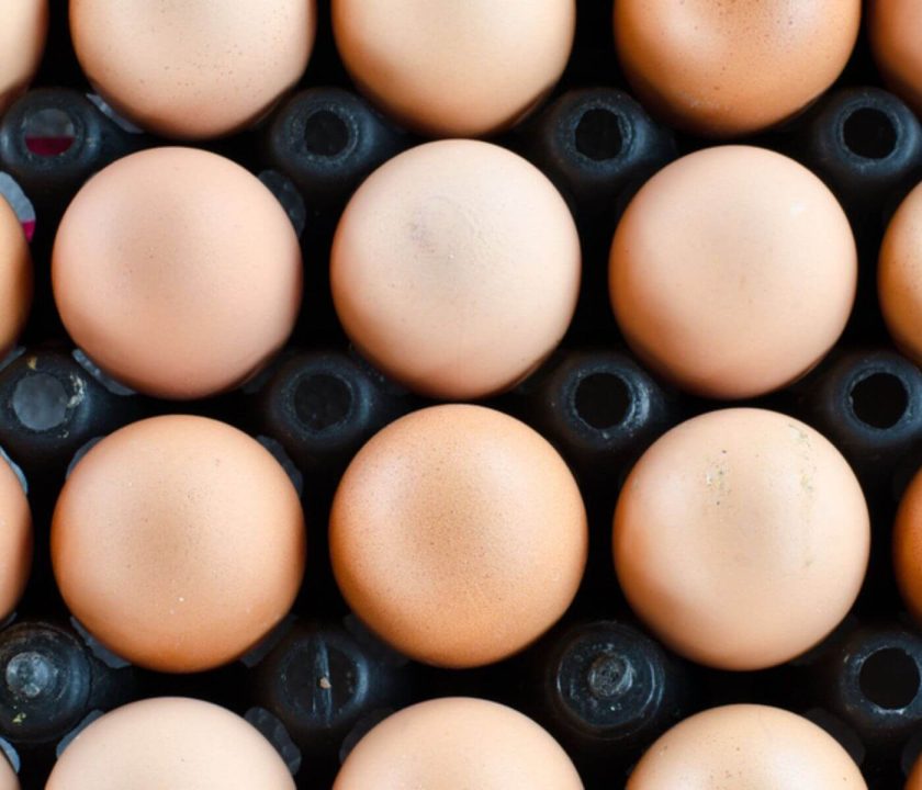 Indian hatcheries to break exports due ti Malaysia's egg shortage