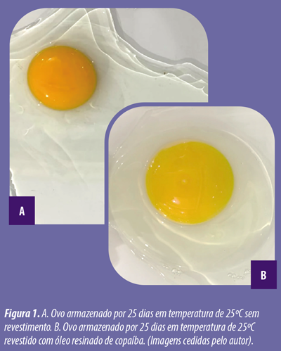 polímeros na qualidade dos ovos