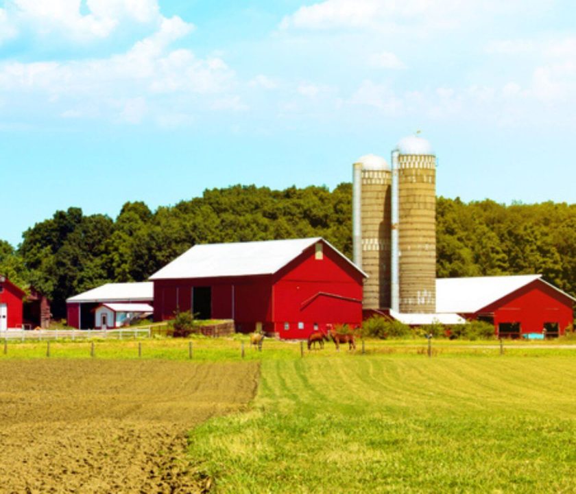 U.S Farmers incomes