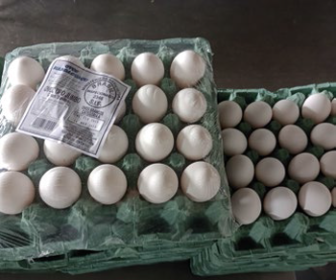 a produção de ovos da visão do pequeno produtor