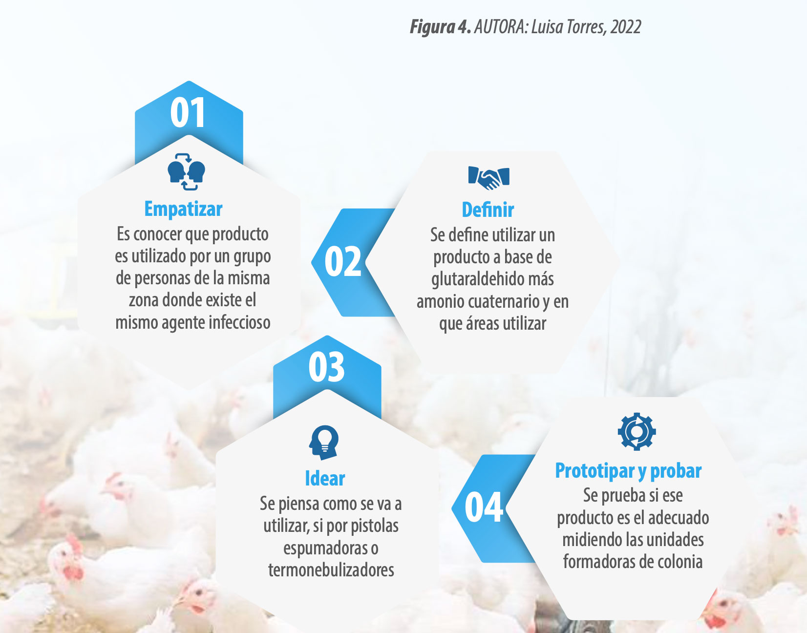 Mejorar la bioseguridad en granjas avícolas, ¿qué podemos hacer? 