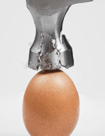 Biochem solução para ovos