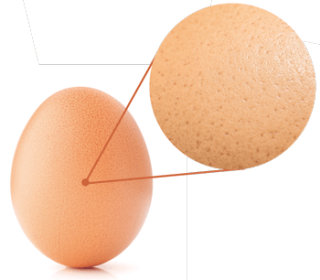 polímeros na qualidade dos ovos