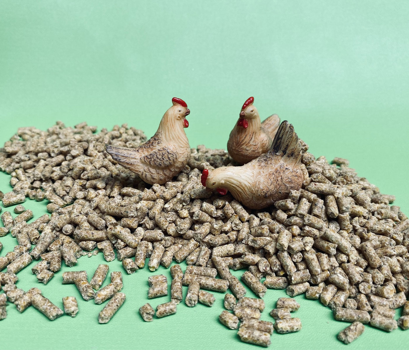 ¿Cómo lograr una buena integridad intestinal en avicultura?