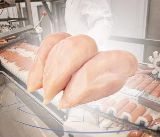 Iamgen Revista Aprovechamiento del pollo en elaboración de embutidos