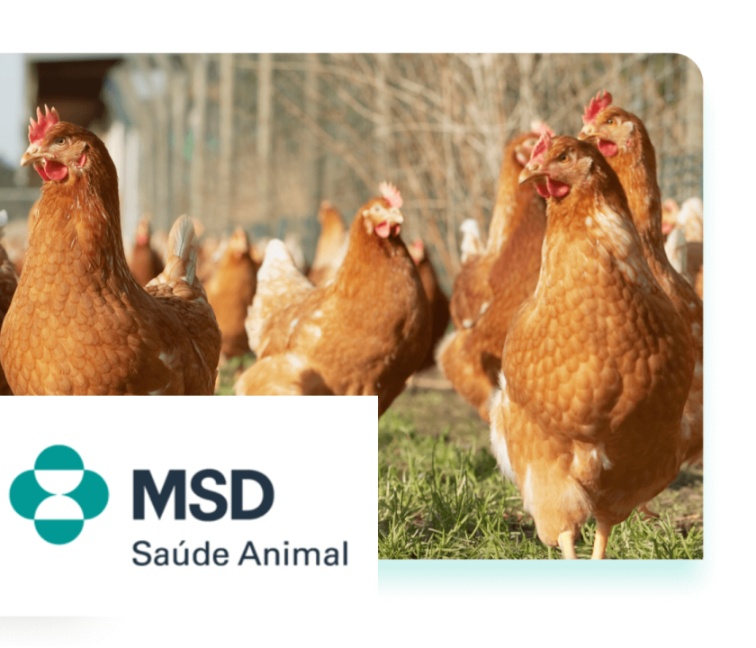 MSD Saúde Animal quer trocar experiências no Congresso APA
