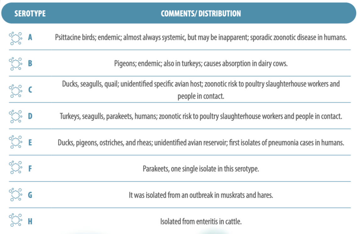 Avian Chlamydiosis - AviNews, The Global Poultry Magazine