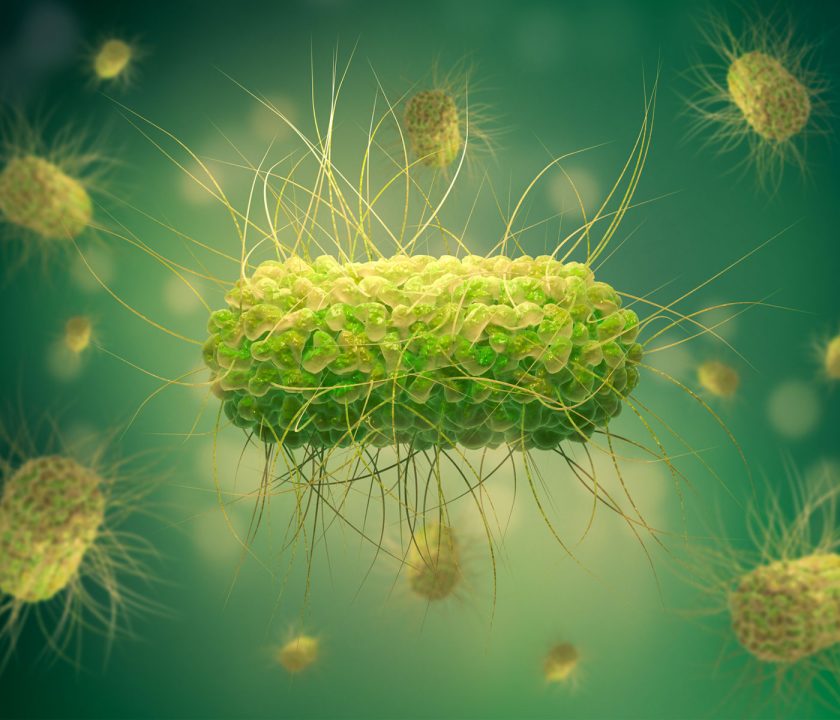 Bacterias resistentes a los antimicrobianos mas comunes
