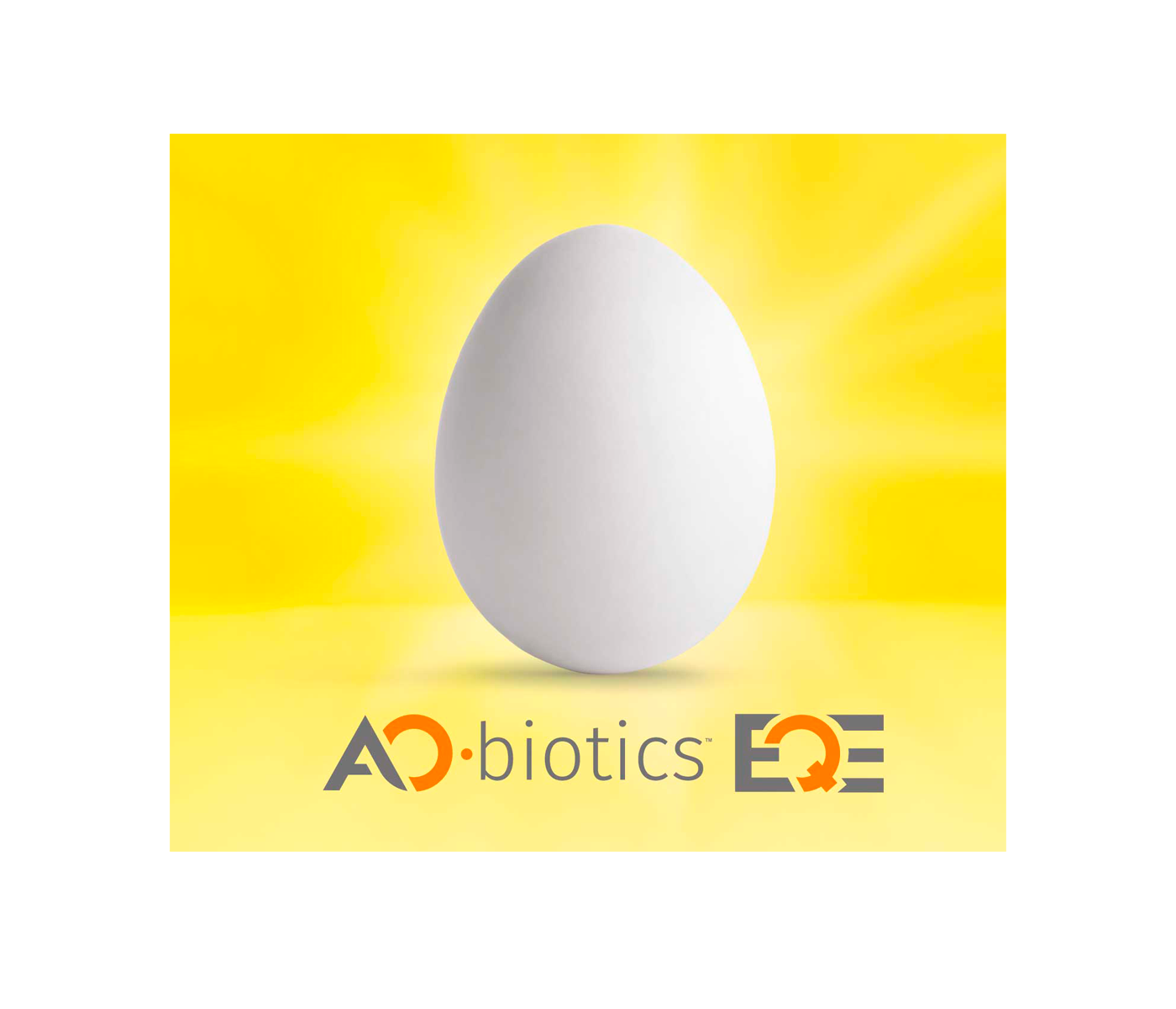 BioZyme® presenta un producto de fermentación para mejorar la calidad del huevo utilizando tecnología pendiente de patente