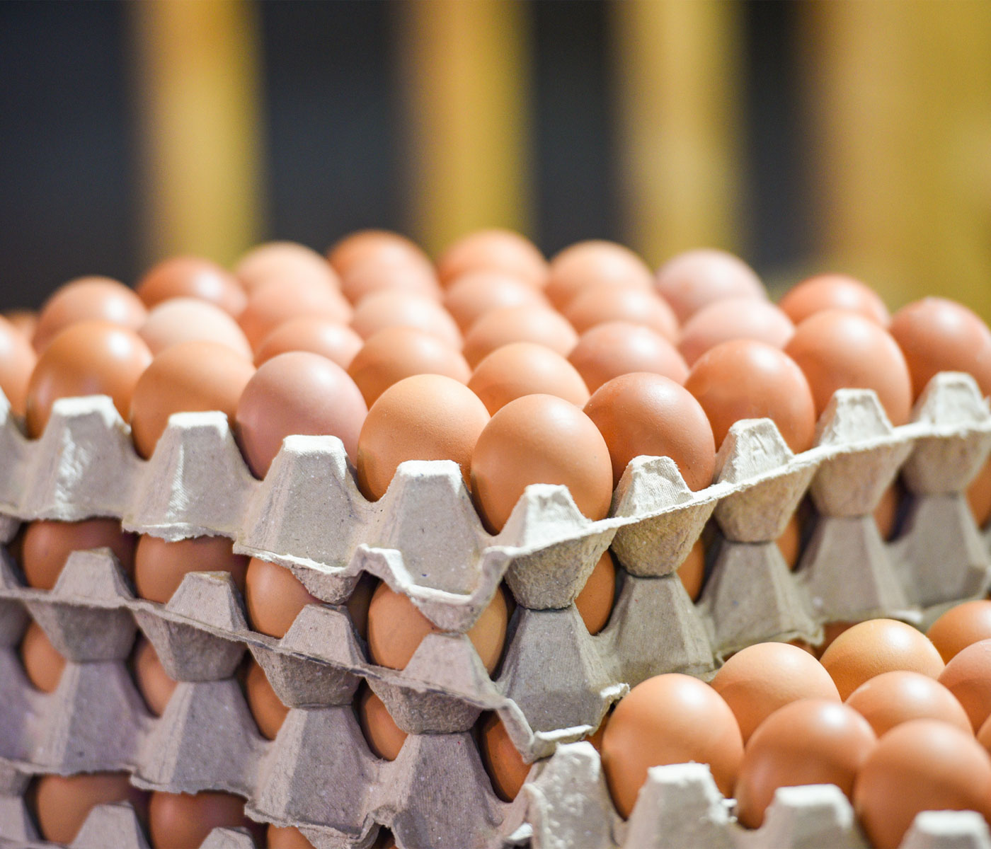 La comisión avanza en la revisión de la normativa de comercialización de los huevos