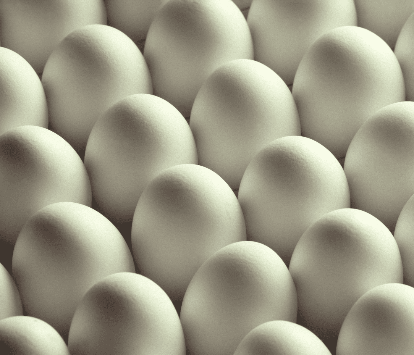 Perú importa huevos fértiles para mitigar impacto de la Influenza Aviar