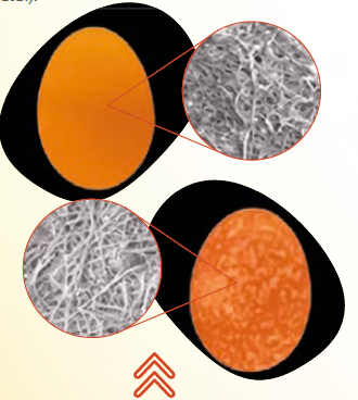 Una de las cualidades que tiene un fuerte impacto sobre el índice de eclosión del huevo fértil es la calidad física de su cáscara.