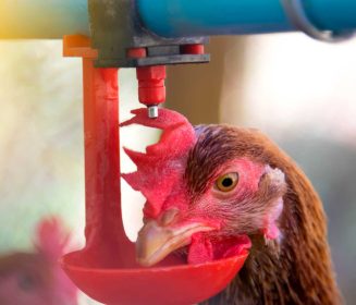 Intra Hydrocare: Más poderoso gracias a la innovación