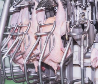 ¿Cómo optimizar la rentabilidad en una planta de procesado de carne de pollo? Análisis de datos