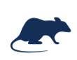 rodents icon farm clean