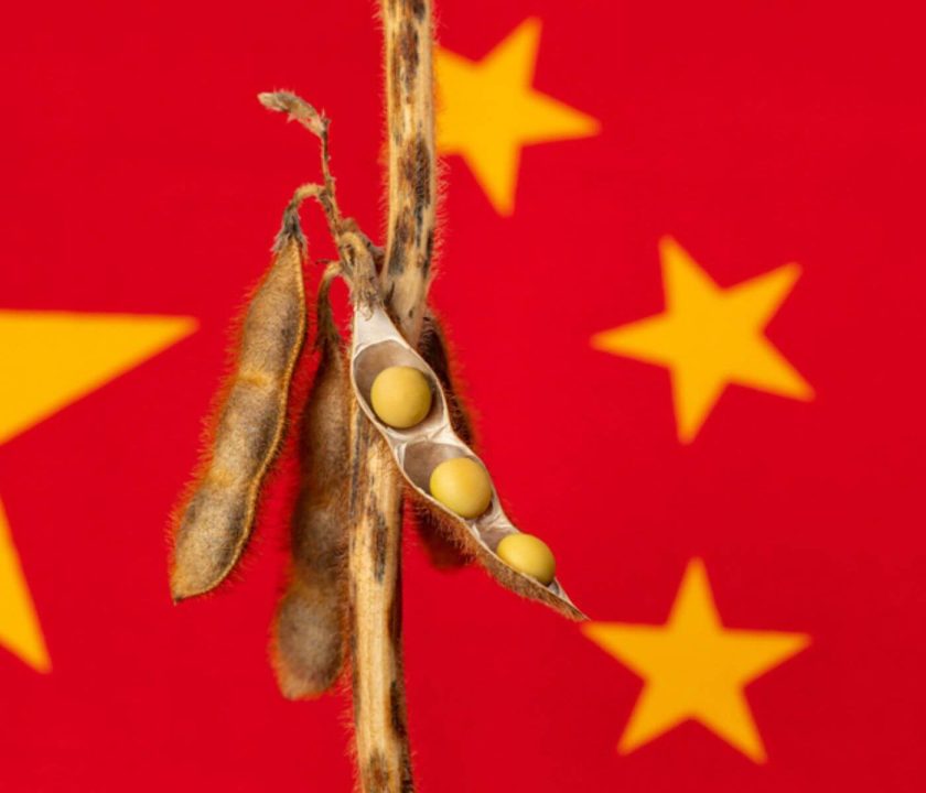 China's soybean imports