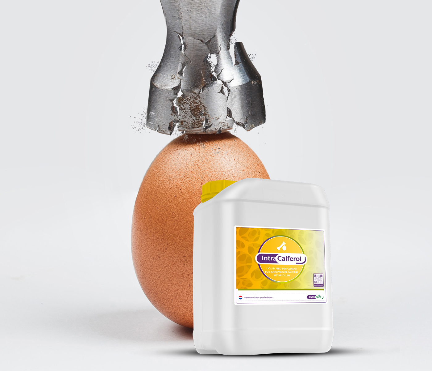 ENSAYO DE CAMPO: Aumento inmediato de la calidad de la cáscara de huevo con Intra Calferol