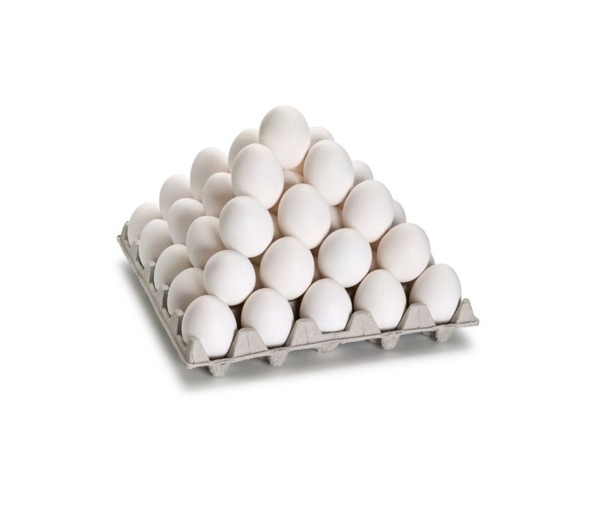 Chile: Productores de huevos aseguran abastecimiento de huevos a nivel nacional