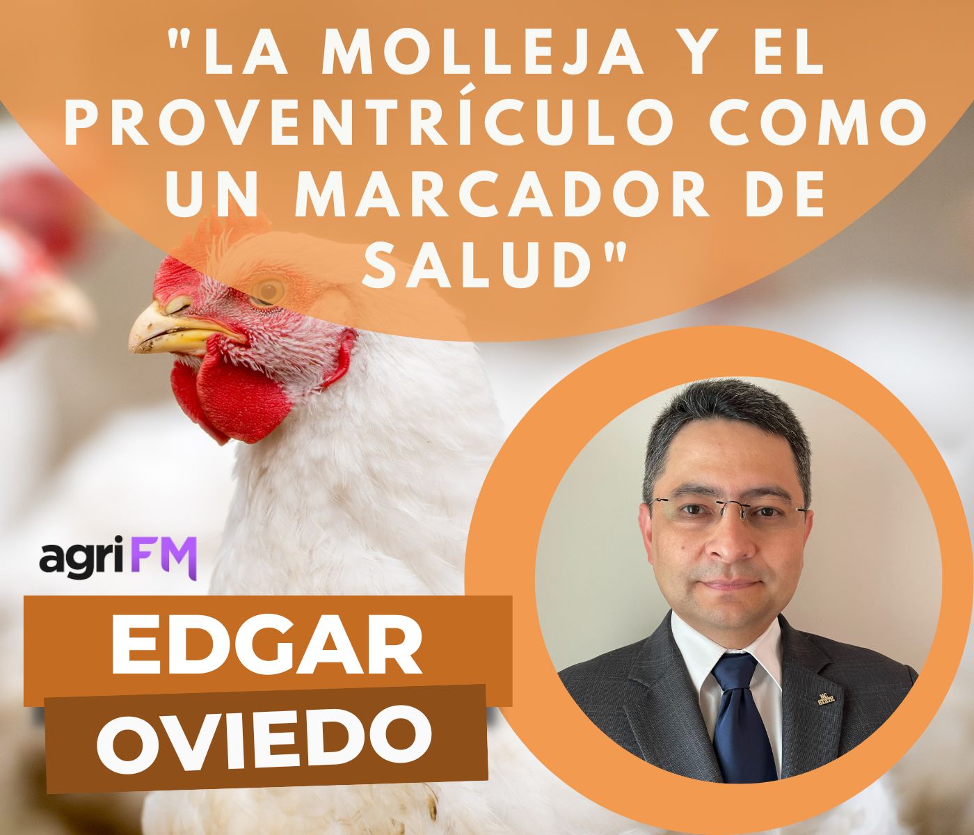 Dr. Edgar Oviedo: ¿Cómo la molleja y el proventrículo pueden ser un marcador de salud en avicultura?