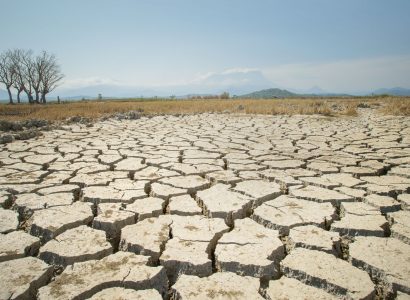 Mercado materias primas mayo: La sequía provoca retención total