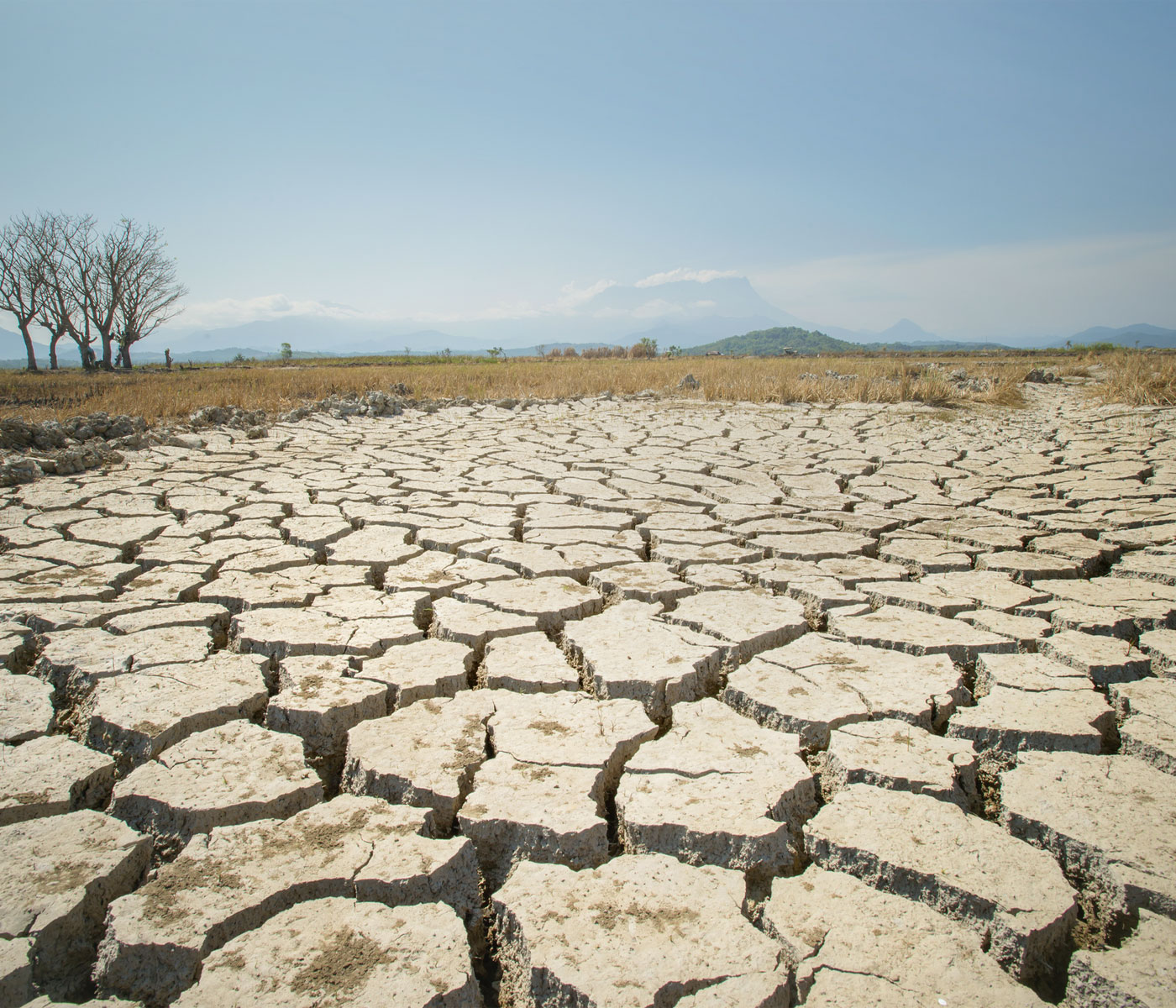 La sequía en España provoca retención total mientras Europa, en...