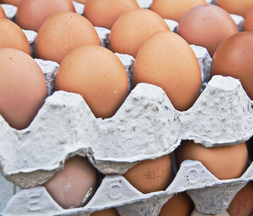 Los precios de los huevos en la UE son noticia