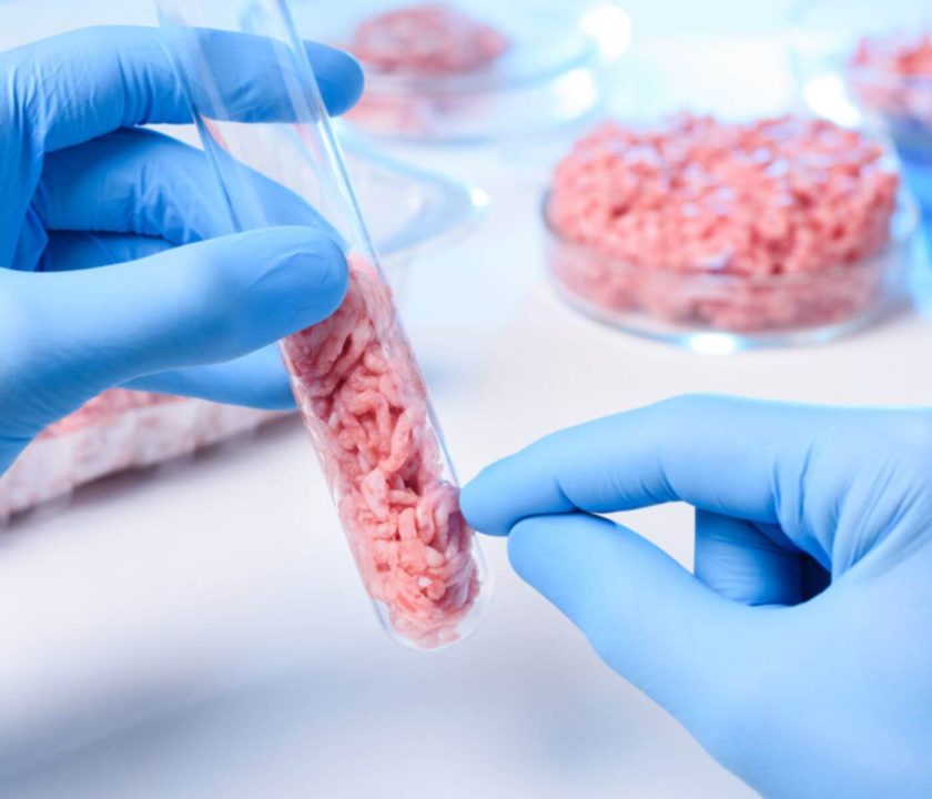 Italy says no to lab meat