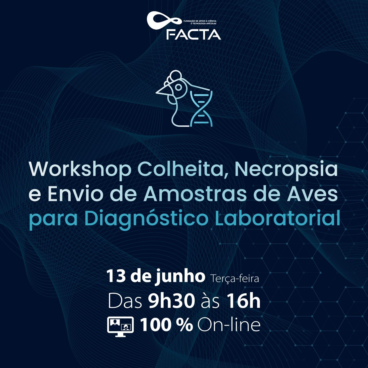 Facta promove Workshop On-line sobre Influenza Aviária