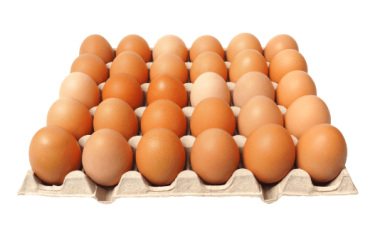 nova classificação dos ovos