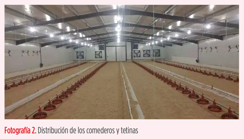 Granjas Equiporave Ibérica: “Optimización de la producción animal”