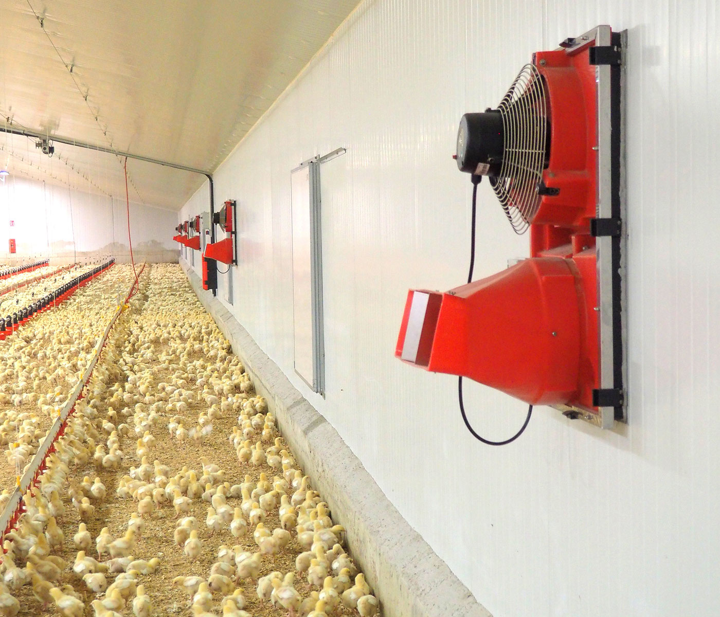 COPILOT System: “La solución completa para la gestión eficiente del ambiente de su granja, comprometidos con el bienestar animal y la eficiencia energética”