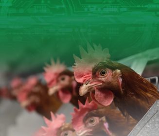 Iamgen Revista Agprofito: a nova tecnologia da Agroceres Multimix frente à substituição dos antimicrobianos