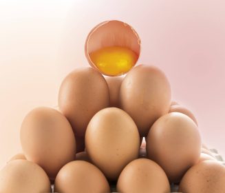 Iamgen Revista Diferentes metodologias de tratamento da casca de ovos: Impactos sobre a qualidade física e microbiológica de ovos comerciais