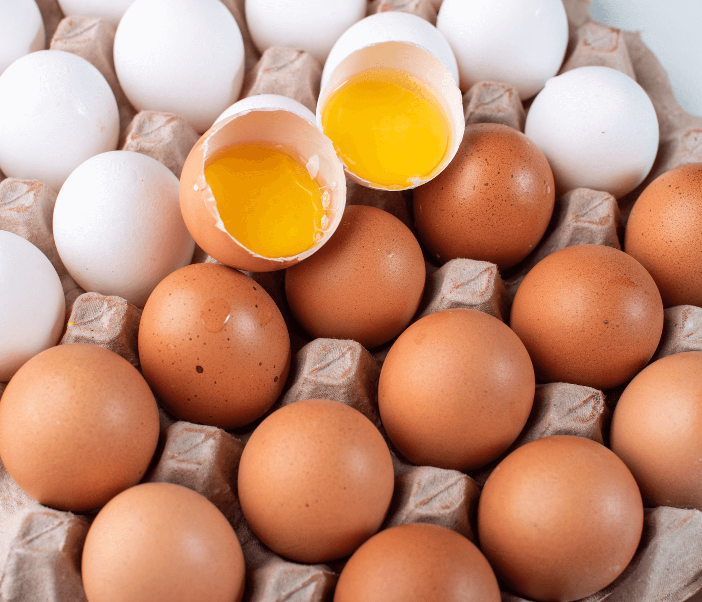 Entenda como a nova classificação dos ovos de galinha impacta nas gôndolas do supermercado
