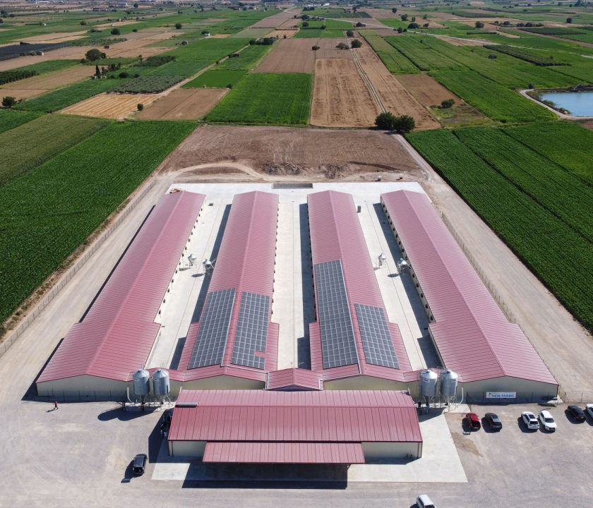 Granjas New Farms: "La calidad nuestra prioridad”