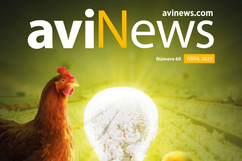 Sumario Los precios de los huevos son noticia en la Unión Europea