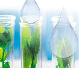 Iamgen Revista Productos naturales y nutrigenómica