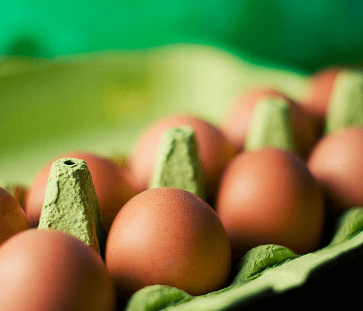 Produção de ovos em Goiás cresce 2,2%, segundo governo estadual
