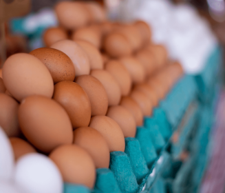  Sanidade e bem-estar animal podem garantir quantidade e qualidade na produção de ovos