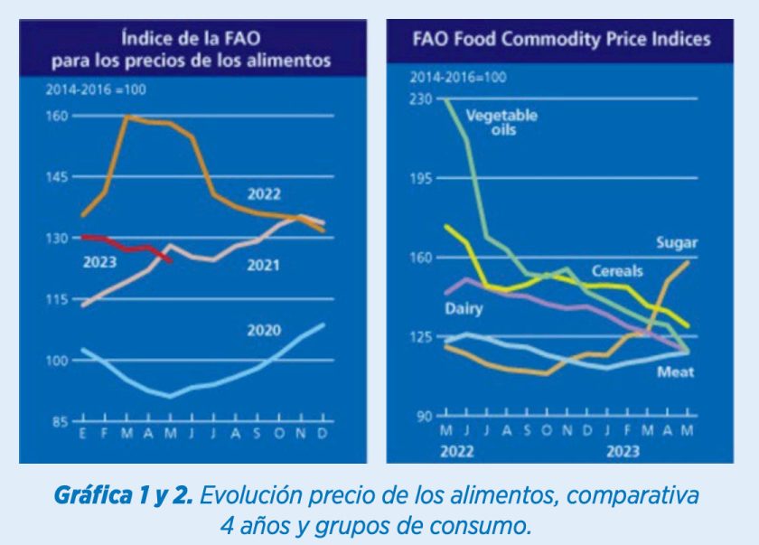 Home - Productos Argentinos - Region Sur Alimentos S.L.